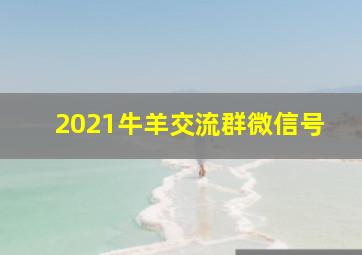 2021牛羊交流群微信号