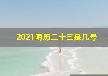 2021阴历二十三是几号