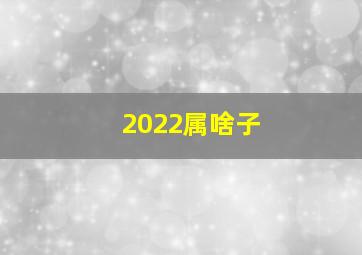 2022属啥子