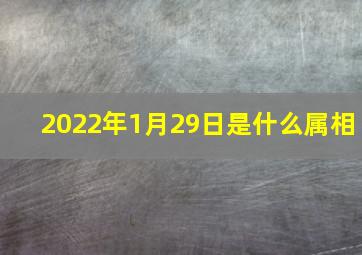 2022年1月29日是什么属相