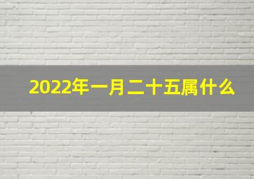 2022年一月二十五属什么