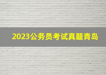 2023公务员考试真题青岛