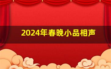 2024年春晚小品相声