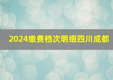 2024缴费档次明细四川成都