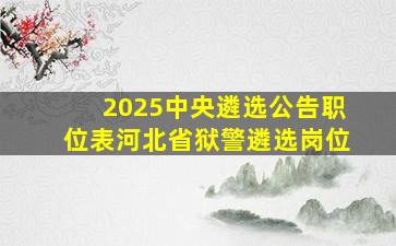 2025中央遴选公告职位表河北省狱警遴选岗位