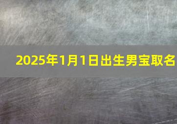 2025年1月1日出生男宝取名