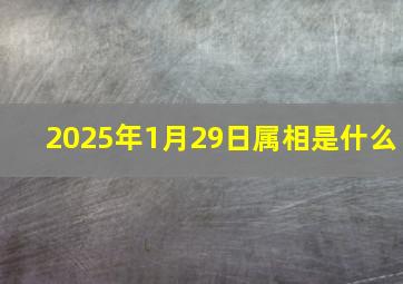 2025年1月29日属相是什么