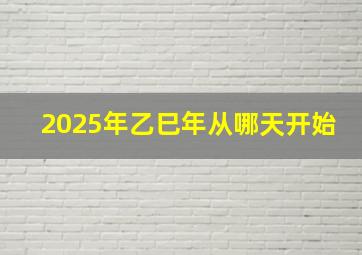 2025年乙巳年从哪天开始