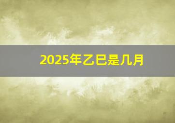 2025年乙巳是几月