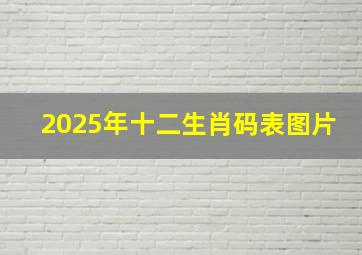 2025年十二生肖码表图片