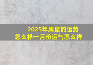 2025年属鼠的运势怎么样一月份运气怎么样