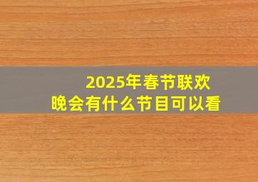 2025年春节联欢晚会有什么节目可以看