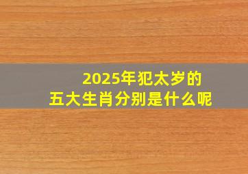 2025年犯太岁的五大生肖分别是什么呢