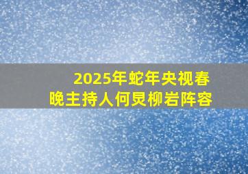 2025年蛇年央视春晚主持人何炅柳岩阵容