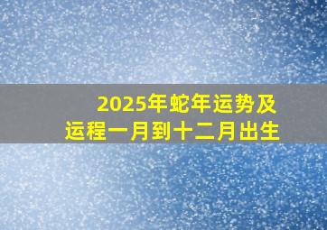 2025年蛇年运势及运程一月到十二月出生