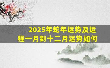 2025年蛇年运势及运程一月到十二月运势如何