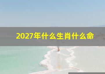 2027年什么生肖什么命