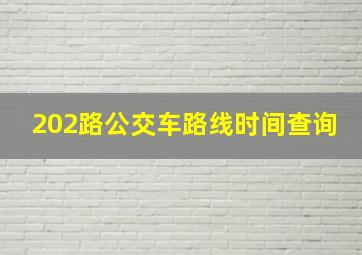 202路公交车路线时间查询