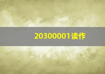 20300001读作