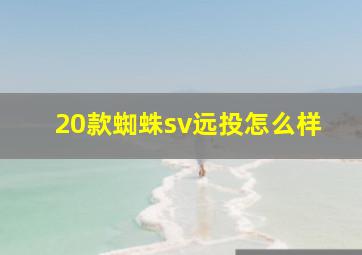 20款蜘蛛sv远投怎么样