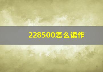 228500怎么读作