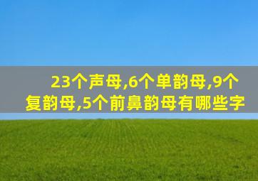 23个声母,6个单韵母,9个复韵母,5个前鼻韵母有哪些字