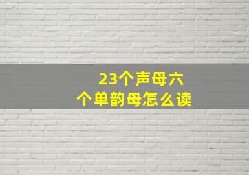 23个声母六个单韵母怎么读