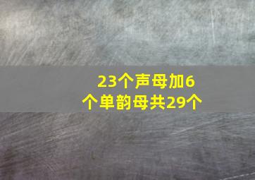 23个声母加6个单韵母共29个