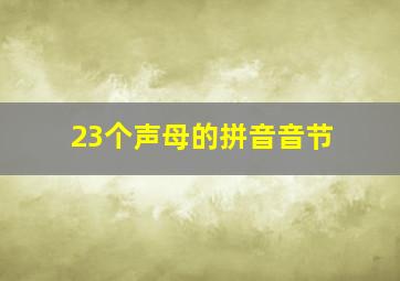 23个声母的拼音音节