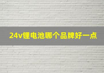 24v锂电池哪个品牌好一点