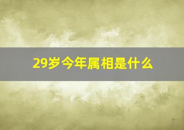 29岁今年属相是什么