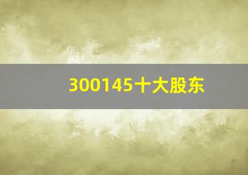 300145十大股东