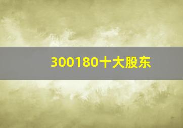 300180十大股东