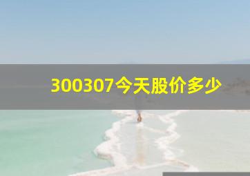 300307今天股价多少