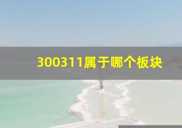 300311属于哪个板块