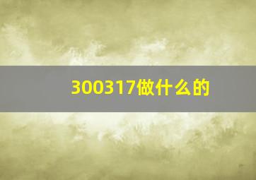 300317做什么的