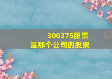 300375股票是那个公司的股票