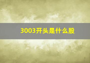 3003开头是什么股