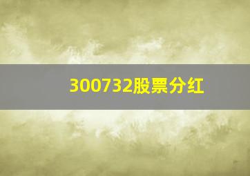 300732股票分红