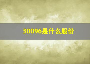 30096是什么股份