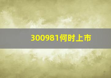 300981何时上市