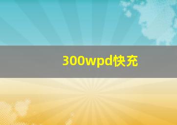 300wpd快充