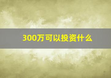 300万可以投资什么