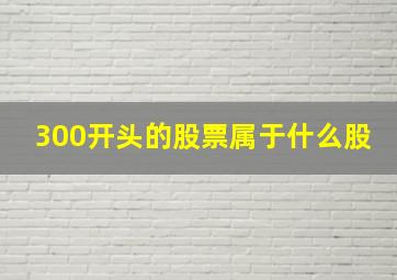 300开头的股票属于什么股