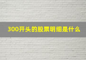 300开头的股票明细是什么