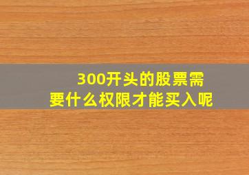 300开头的股票需要什么权限才能买入呢