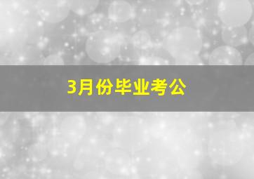 3月份毕业考公