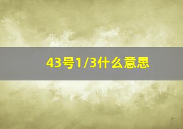 43号1/3什么意思