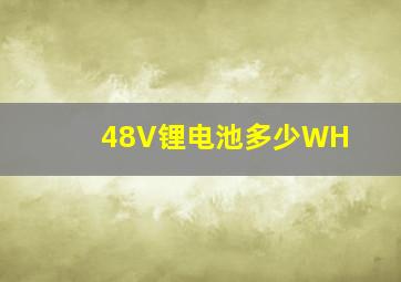 48V锂电池多少WH