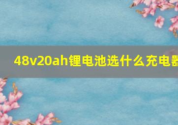 48v20ah锂电池选什么充电器